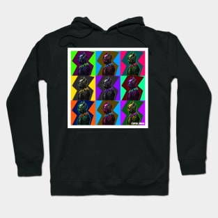 Rainbow panthers Hoodie